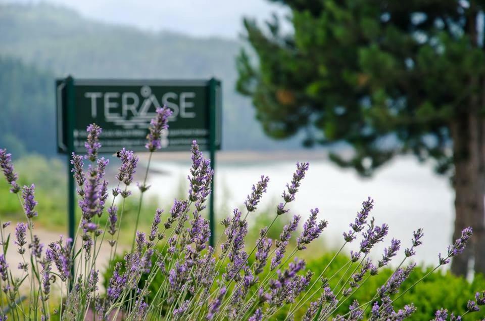 Apartmani Terase Konjska Reka Buitenkant foto